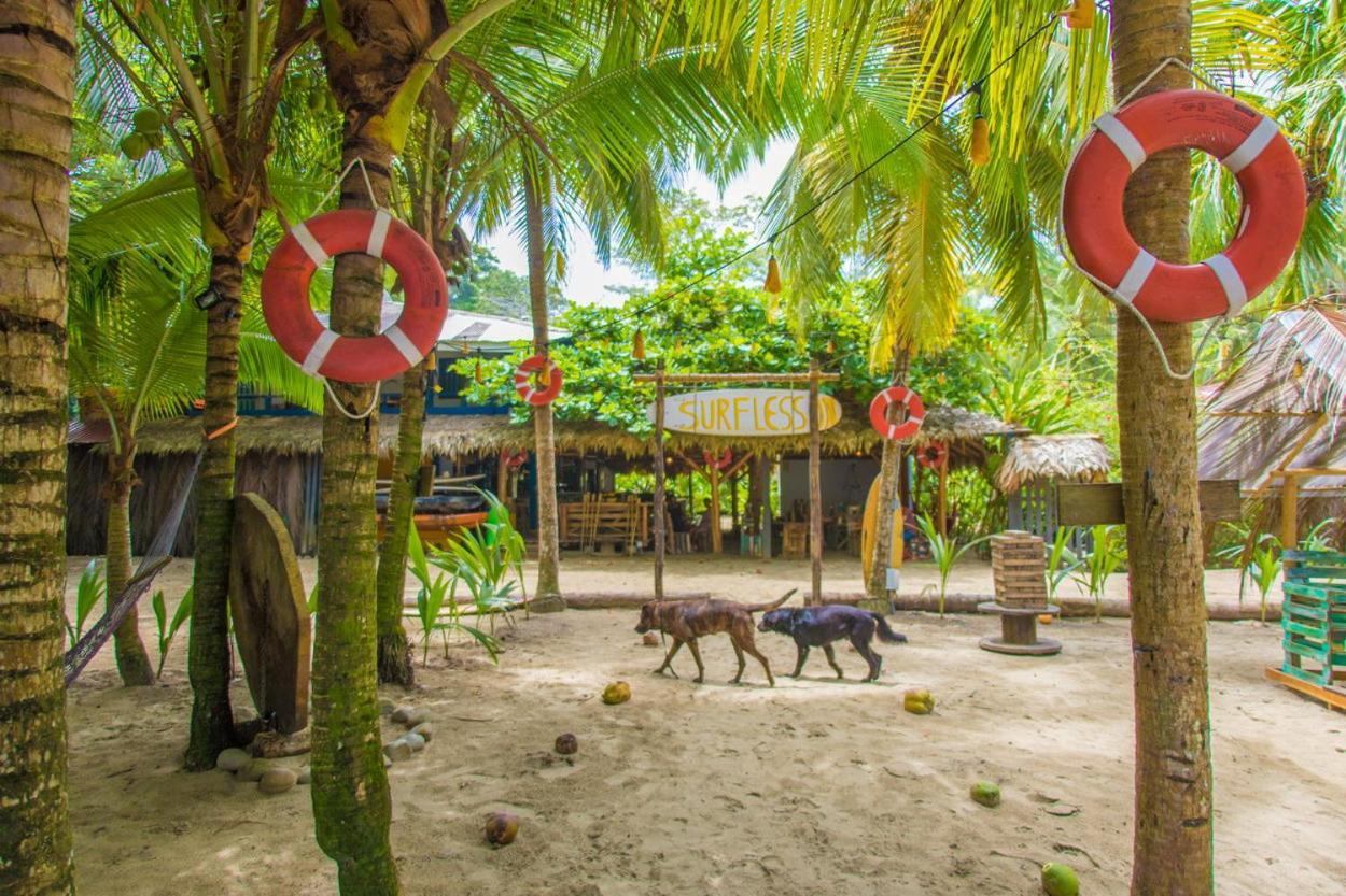 Playa 506 Beachfront Hostel Puerto Viejo de Talamanca Екстер'єр фото