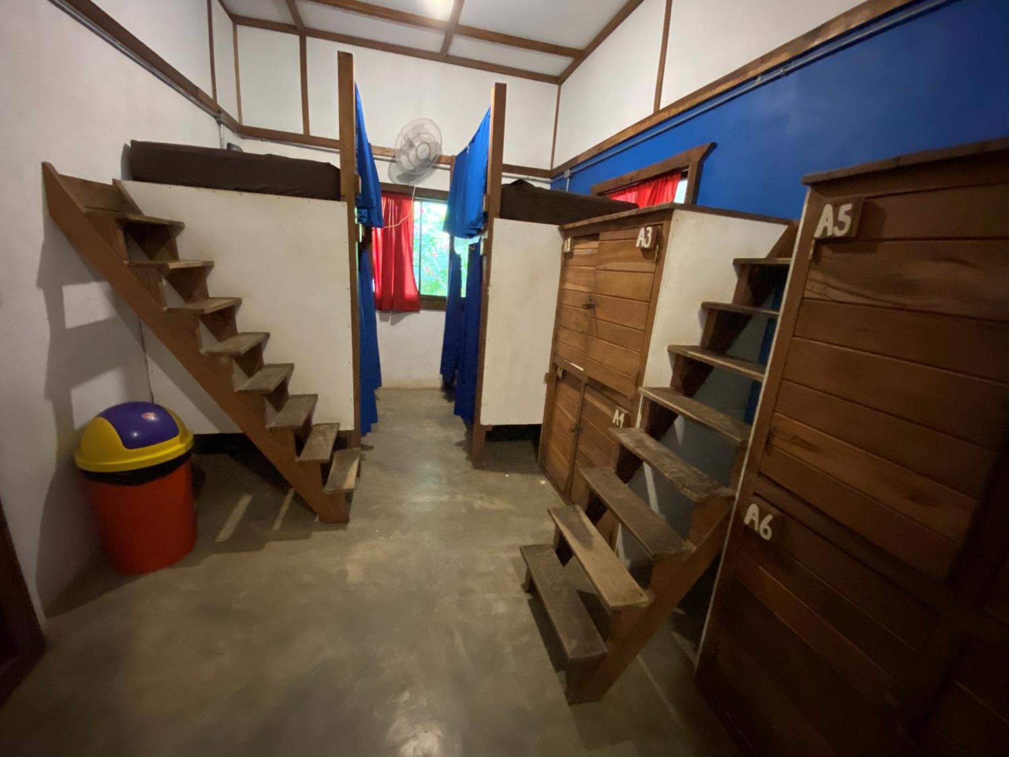 Playa 506 Beachfront Hostel Puerto Viejo de Talamanca Номер фото