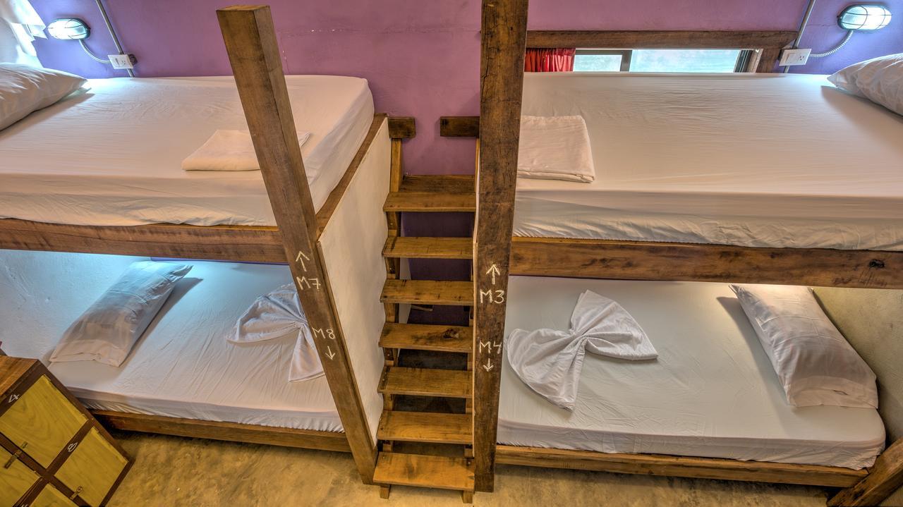Playa 506 Beachfront Hostel Puerto Viejo de Talamanca Екстер'єр фото