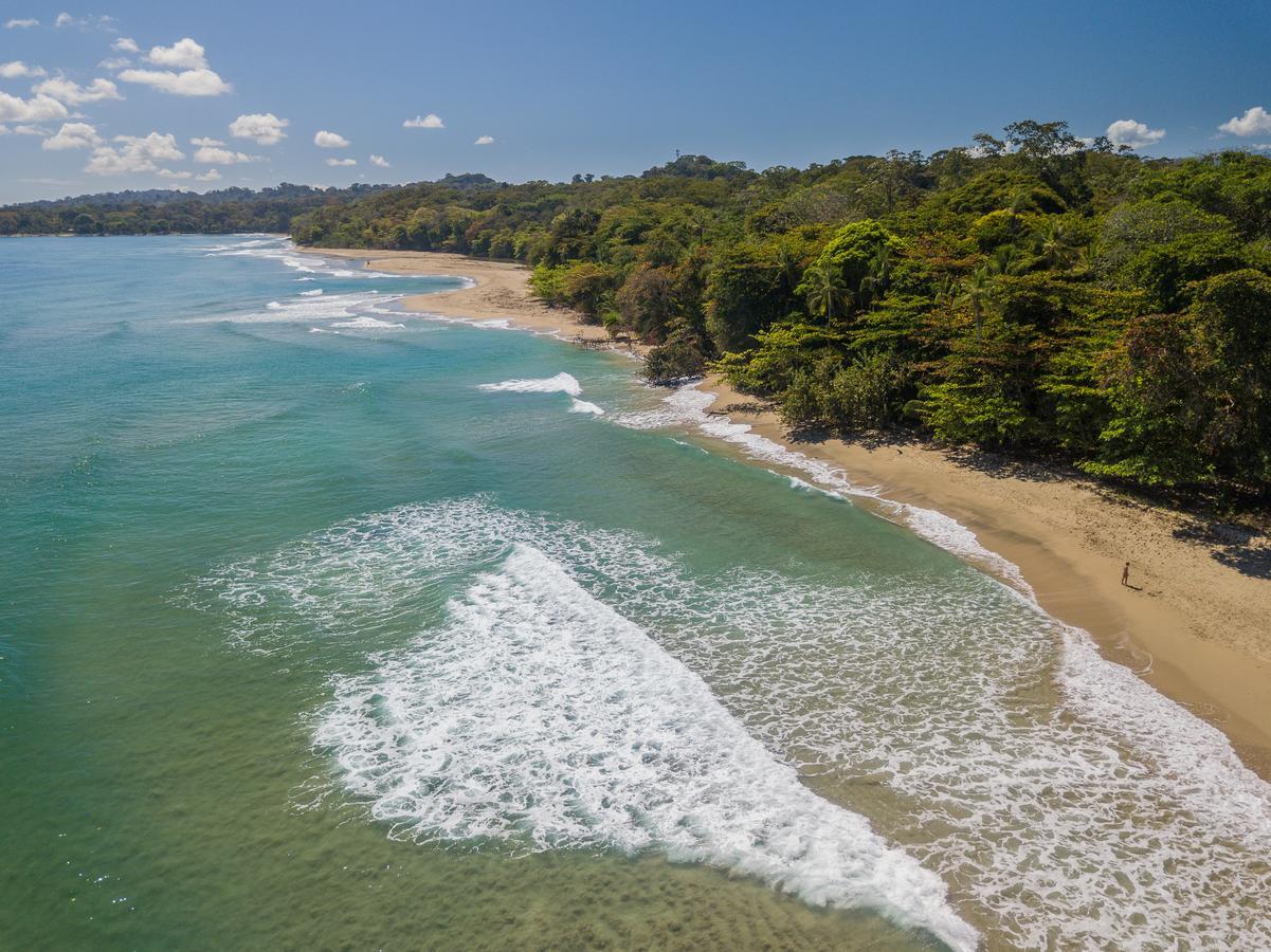 Playa 506 Beachfront Hostel Puerto Viejo de Talamanca Екстер'єр фото